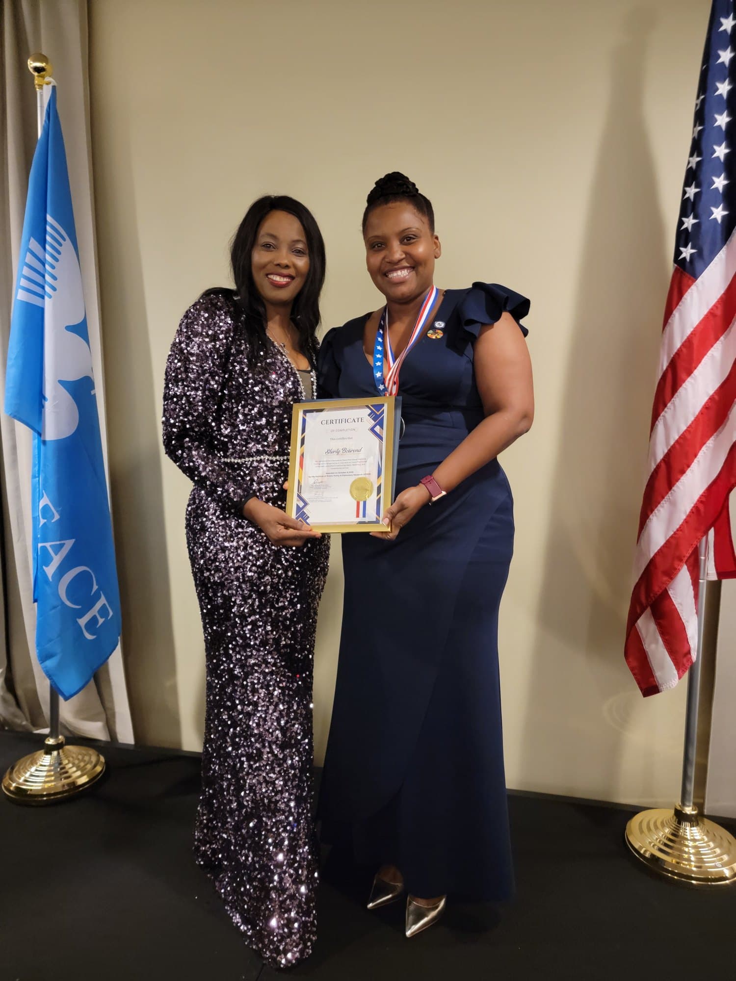 Nomination et Cérémonie de Remise de Prix, Nations Unies